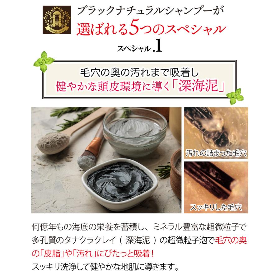 Black Care ブラック・ナチュラルシャンプー 600ml 1本 ブラック