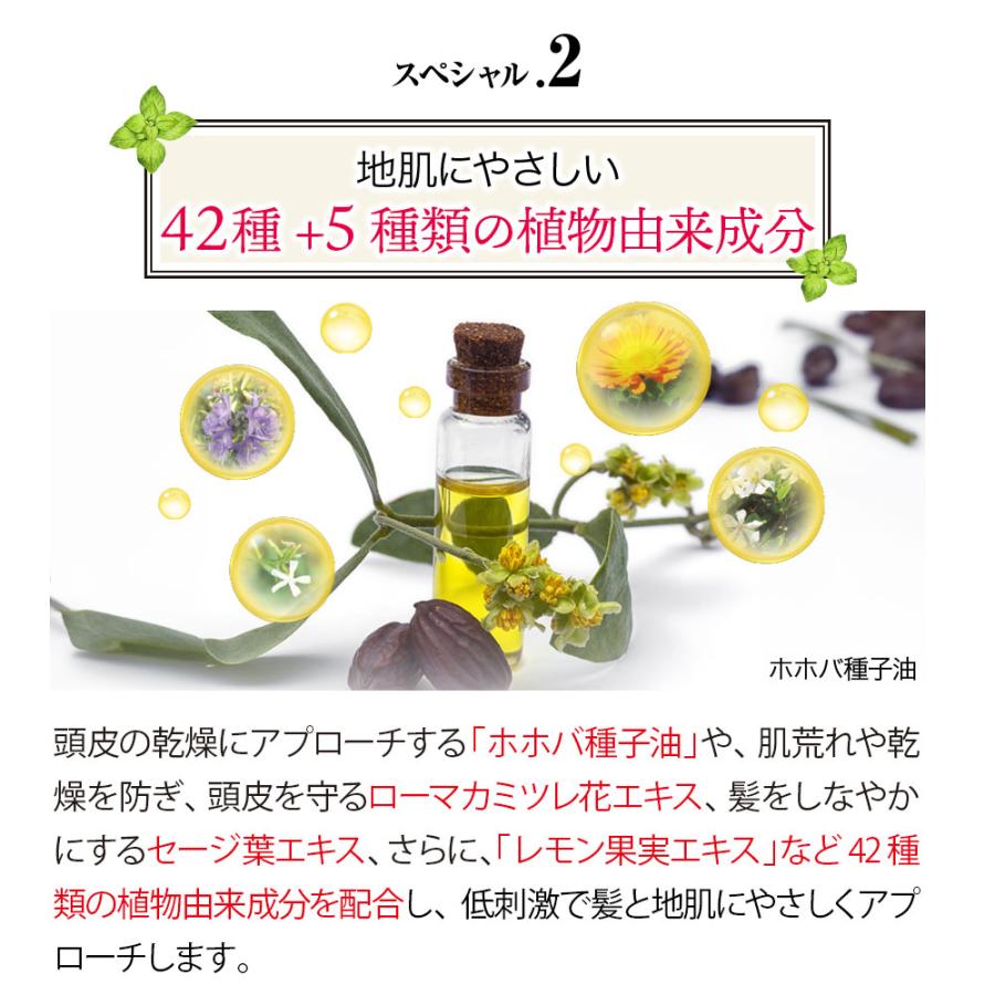 Black Care ブラック・ナチュラルシャンプー 600ml 1本 ブラック