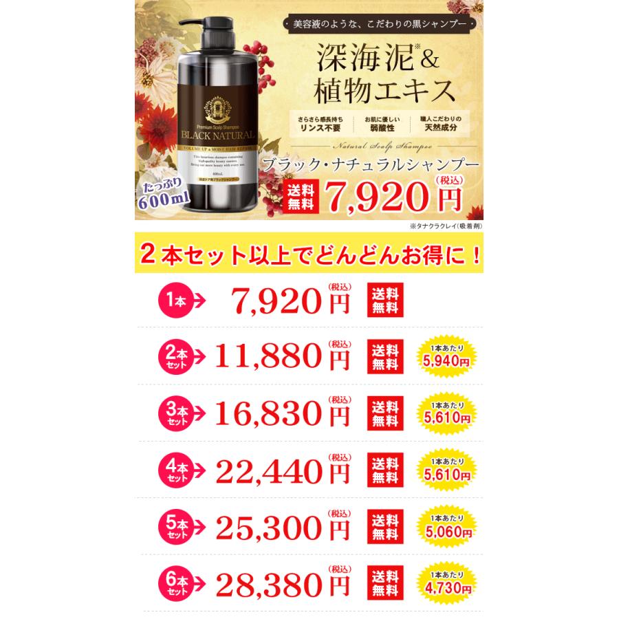 Black Care ブラック・ナチュラルシャンプー 600ml 6本セット