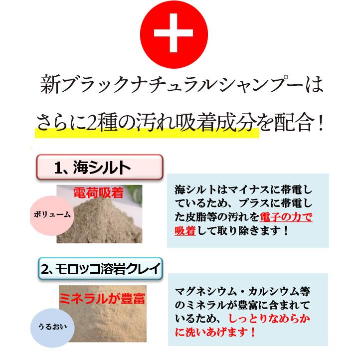 Black Care ブラック・ナチュラルシャンプー 600ml 6本 セット