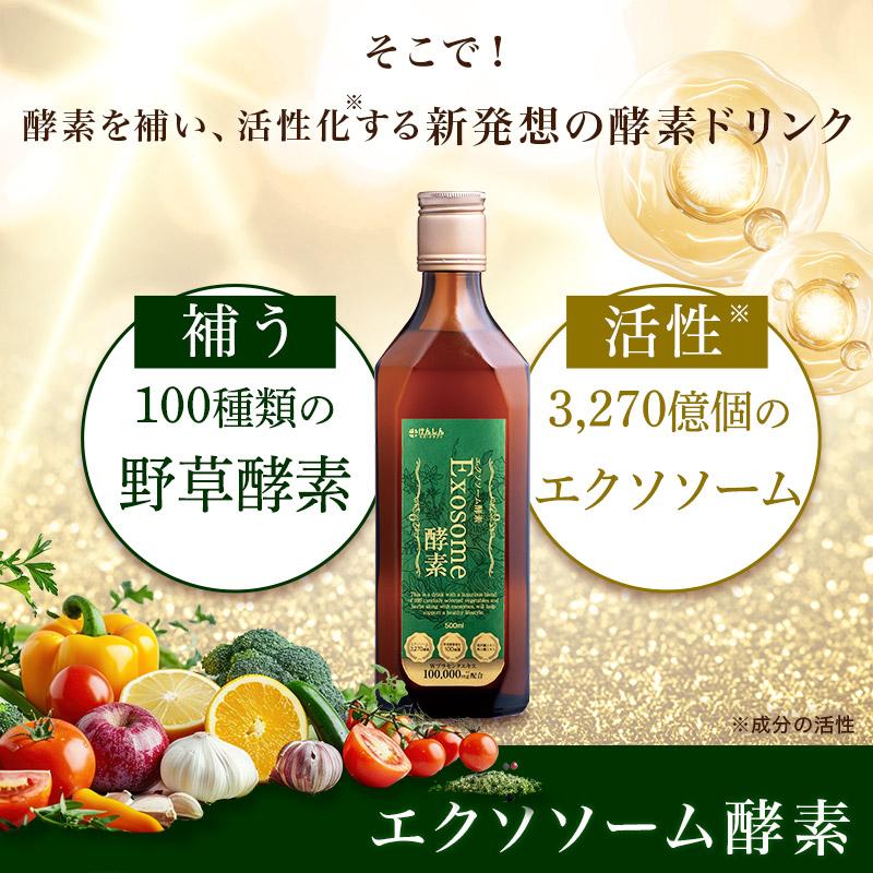 けんしんサポートサプリ エクソソーム酵素 500ml 1本 酵素ドリンク