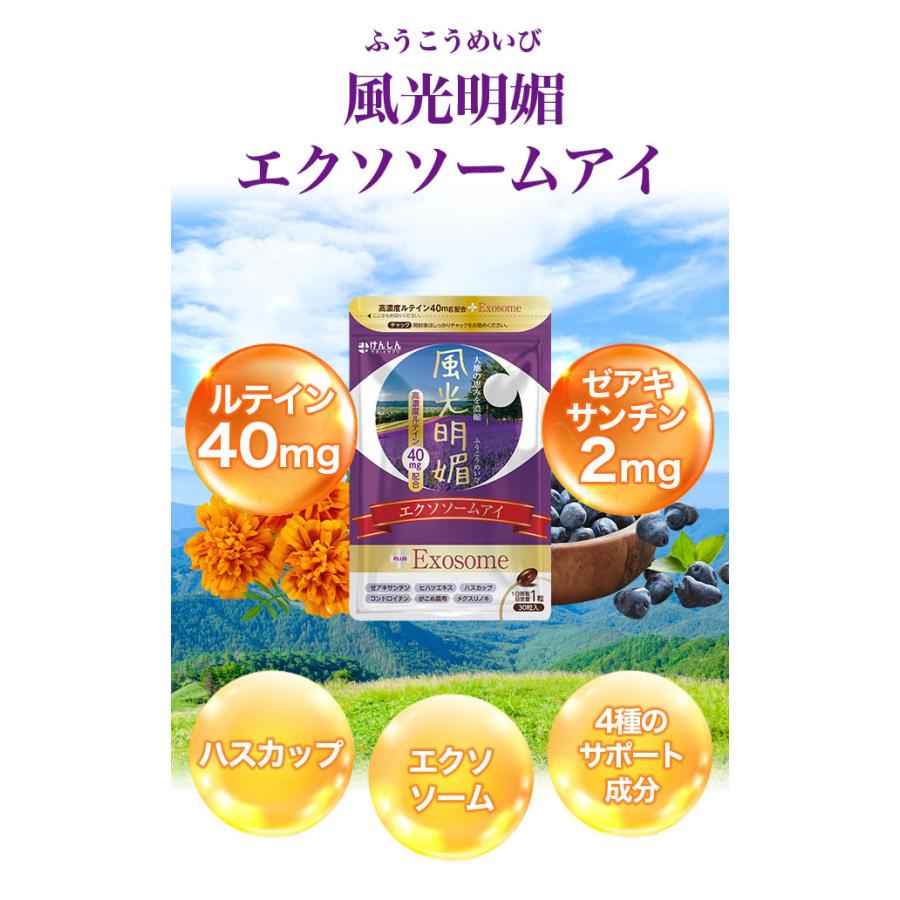 けんしんサポートサプリ 風光明媚 エクソソームアイ 1袋30粒 約30日分