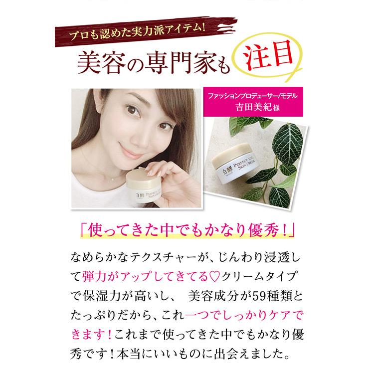 白酵 パーフェクトスキンクリーム 50g 1個 オールインワン 白酵 パーフェクトスキンクリーム 50g 1個 オールインワン