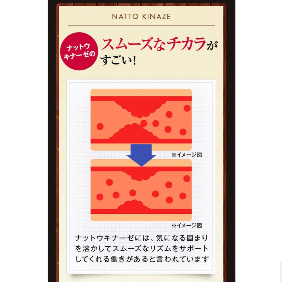 けんしん ナチュラルガーデン 納豆キナーゼ7袋セット 楽天市場 