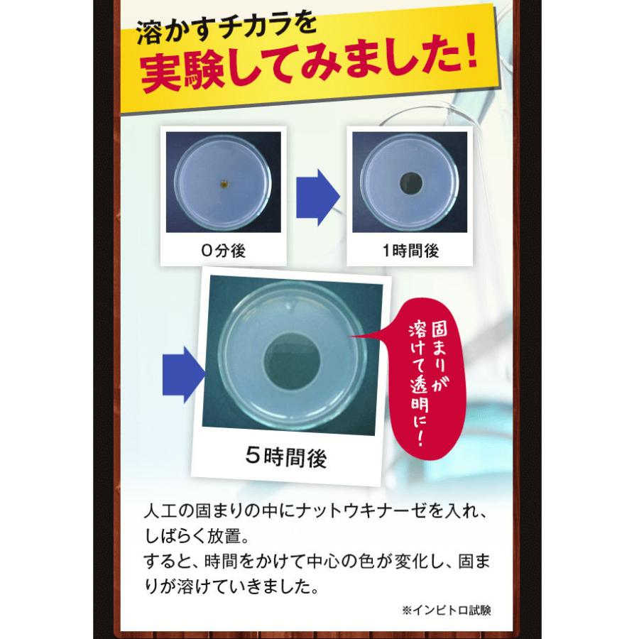 けんしん ナチュラルガーデン 納豆キナーゼ7袋セット 楽天市場 
