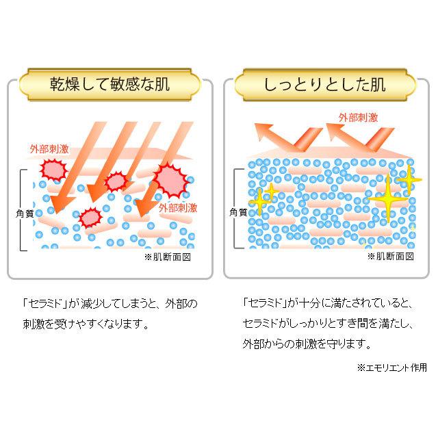 ソワニティー 薬用 プレミアムスキンクリーム 30g お得な2個セット
