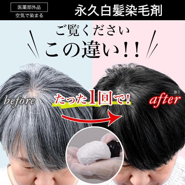 ソワニティー 白髪染め ホイップへアカラー 80g 1本 泡カラー