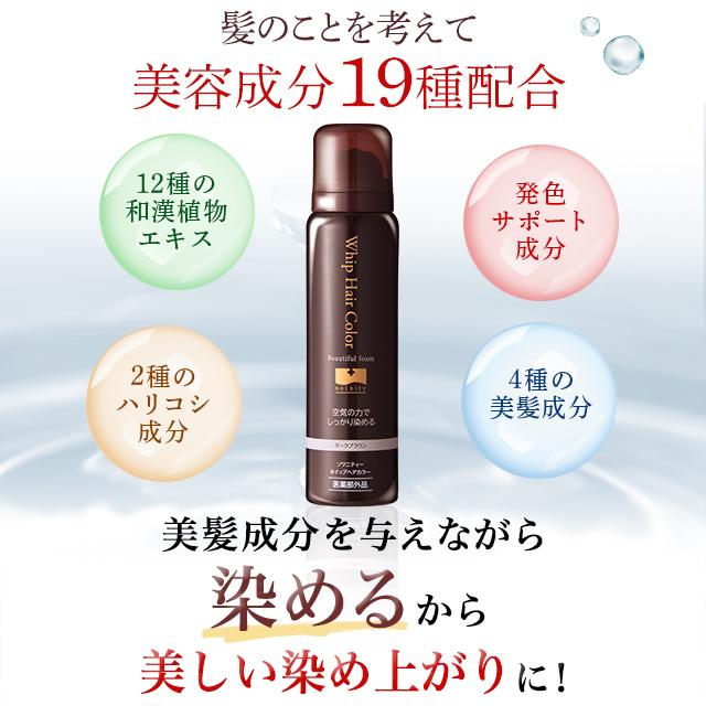 白髪染め 永久染毛剤 ソワニティー ホイップへアカラー 80g 6本セット 泡 泡カラー 選べる2色 ブラック/ダークブラウン 白髪染 医薬部外品 ソワニティー 白髪染め ホイップへアカラー 80g 1本 泡カラー ブラック