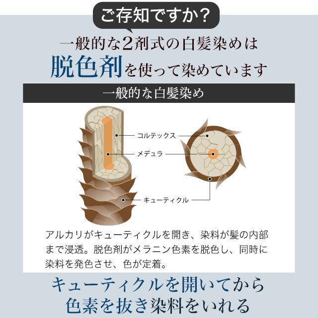 ソワニティー 初回限定40％OFF 白髪染め ホイップへアカラー 80g 1本