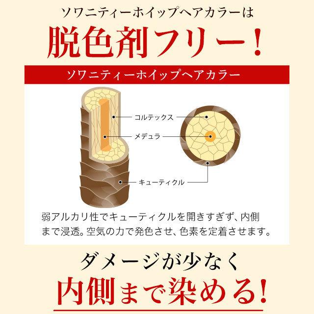 ソワニティー 白髪染め ホイップへアカラー 80g 2本セット 泡カラー