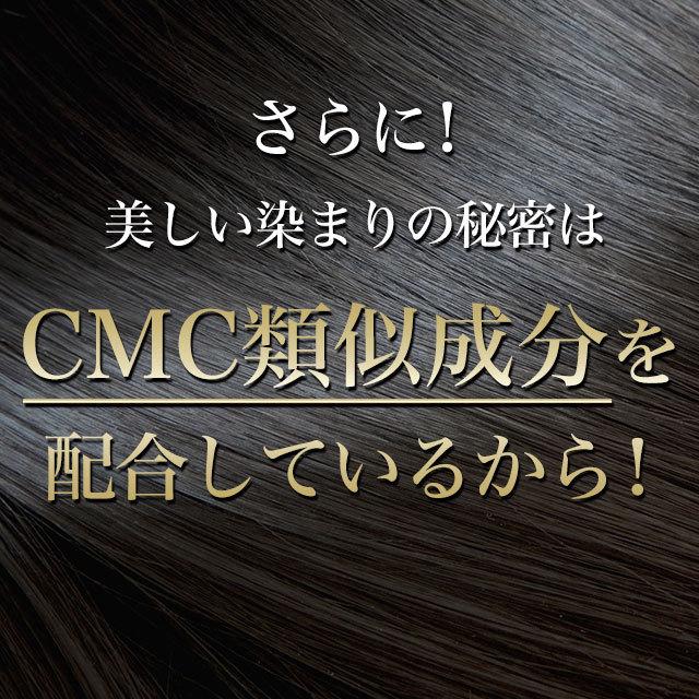 ソワニティー 白髪染め ホイップへアカラー 80g 2本セット 泡カラー
