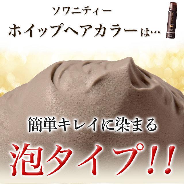 ソワニティー 白髪染め ホイップへアカラー 80g 2本セット 泡カラー