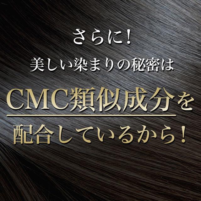 Bio Lucia 白髪染め ダークブラウン 詰替え4個セット 4573205372099-3_rn1.jpg