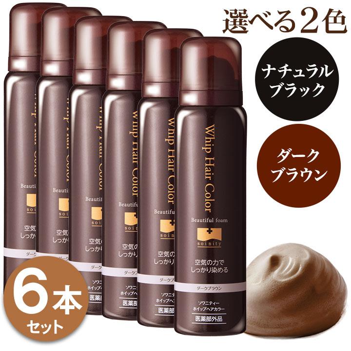 白髪染め 永久染毛剤 ソワニティー ホイップへアカラー 80g 6本セット 泡 泡カラー 選べる2色 ブラック/ダークブラウン 白髪染 医薬部外品 ソワニティー 白髪染め ホイップへアカラー 80g 6本セット 泡カラー