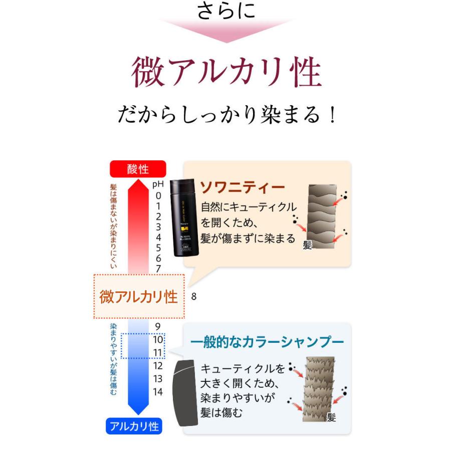 ソワニティー カラーシャンプー 200ml 3本 選べる2色 白髪染め