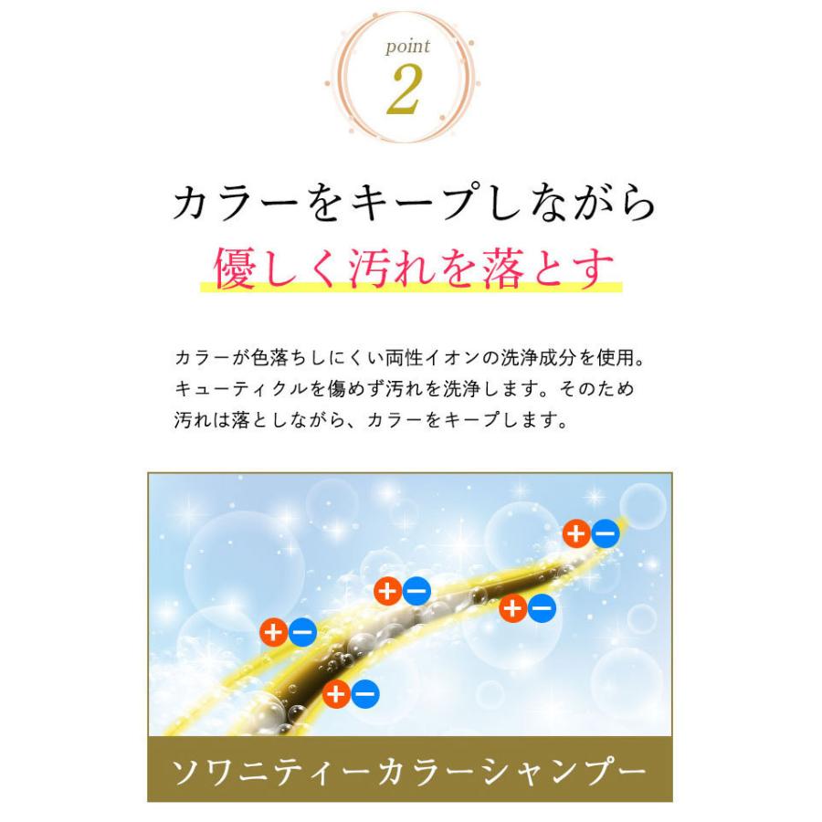 ソワニティー カラーシャンプー 200ml 3本 選べる2色 白髪染め
