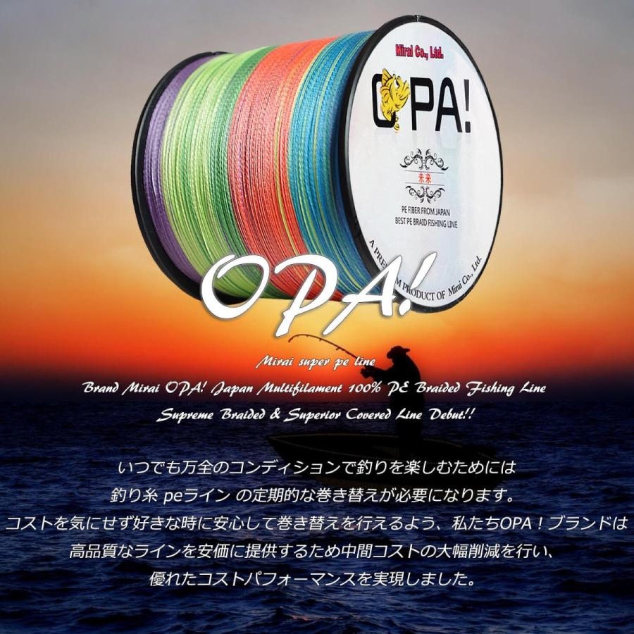 PEライン 150m 釣り糸 0.4号 0.8号 5色マルチカラー 高強度 高