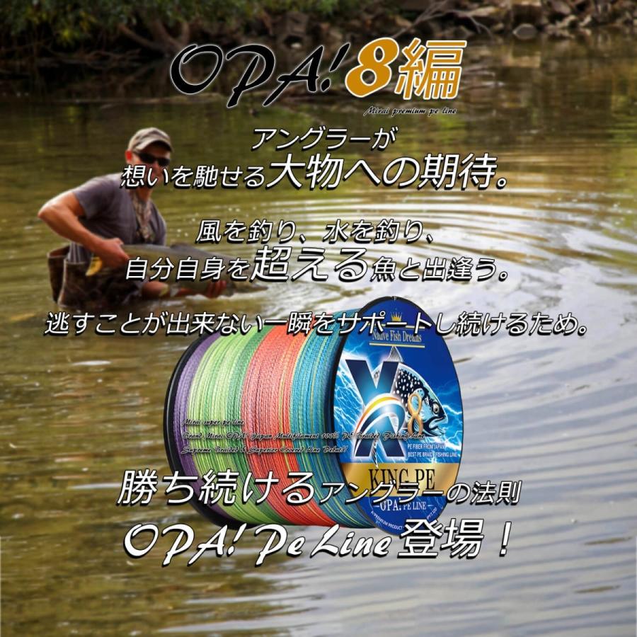 PEライン 釣り糸 8編 8本編み 200m 1号 2号 3号 4号 5号 6号 8号 10号