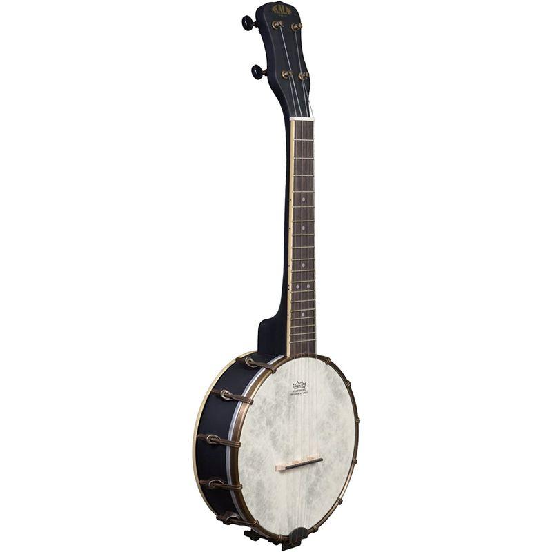 KALA カラ バンジョーウクレレ Banjo Ukulele コンサート Remoヘッド 