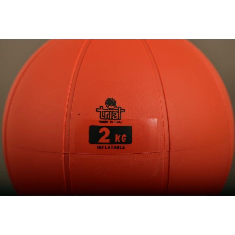 NISHI(ニシ・スポーツ) スウィングメディシンボール 2kg T5912｜native-place｜02