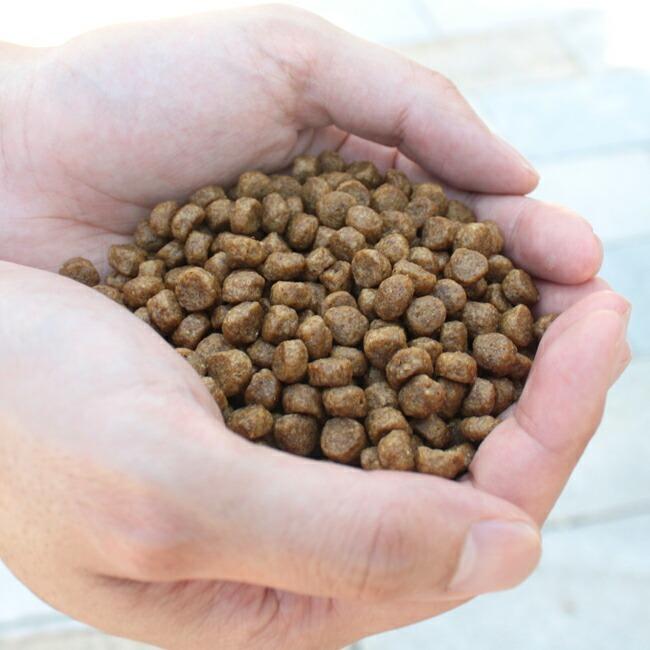 ネイティブドッグ ドッグフード プレミアムチキン 成犬用 800g