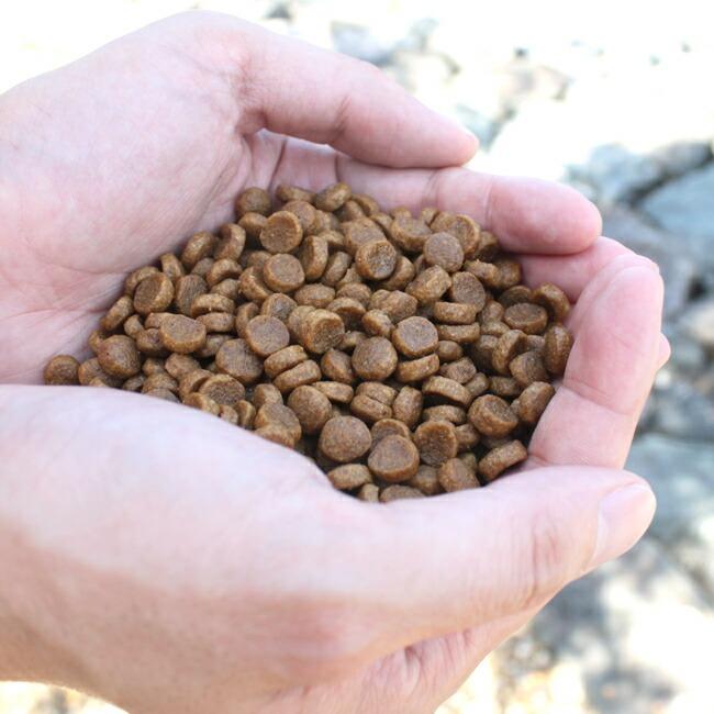 ネイティブドッグ ドッグフード プレミアムチキン 子犬用3kg