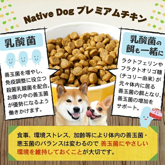 ネイティブドッグ ドッグフード プレミアムチキン 成犬用 12kg（3kg×4