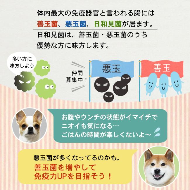 ネイティブドッグ プレミアムチキン 成犬用 12kg 3kg 4 送料無料 北海道 沖縄は送料別 ネイティブドッグyahoo店 通販 Yahoo ショッピング