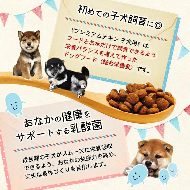 ネイティブドッグ ドッグフード プレミアムチキン 子犬用 12kg
