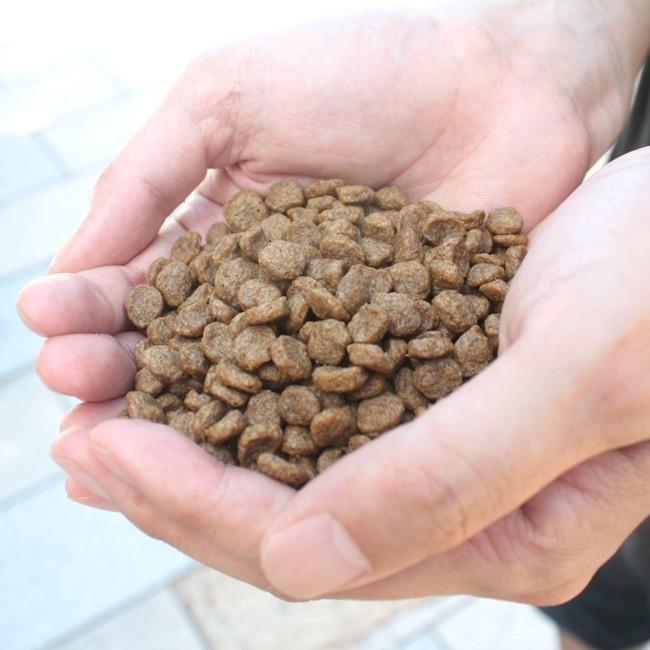 ネイティブドッグ ドッグフード プレミアムフィッシュ 低アレルゲン