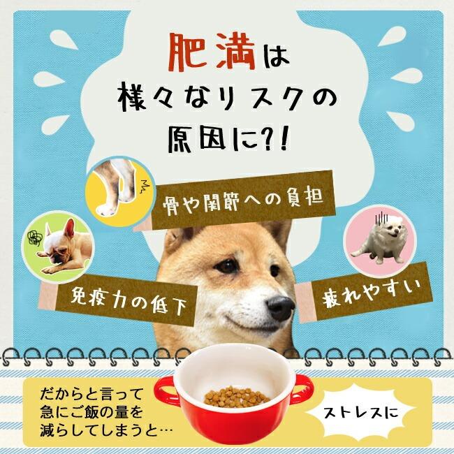 ネイティブドッグ ドッグフード プレミアムチキン 体重調整用 18kg