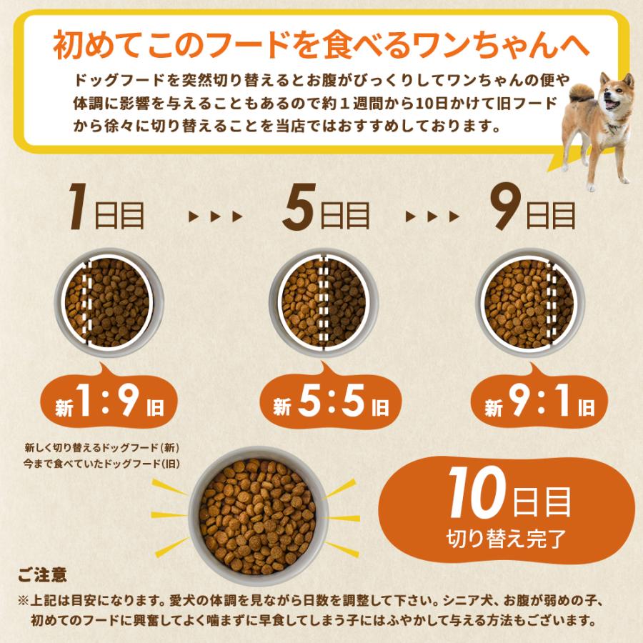 ドッグフード 国産おいしいチキン 成犬用 12kg 【ネイティブドッグ】送料無料／北海道・沖縄は送料別の画像