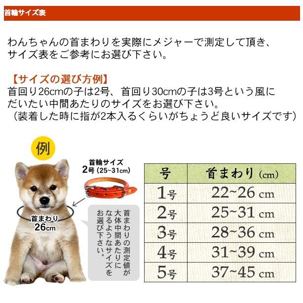 瀬川製作所 1949年型本革首輪 サイズ4号 首廻り31cmから39cm 標準的な柴犬オスの成犬サイズです ネイティブドッグyahoo店 通販 Yahoo ショッピング