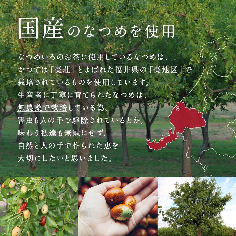 なつめ茶のお試しパック ネコポス便 送料無料 なつめのお茶 8個入 ノンカフェイン 温活 無農薬 国産 薬膳茶 冷え ナツメ 棗 棗専門店なつめいろ 通販 Paypayモール