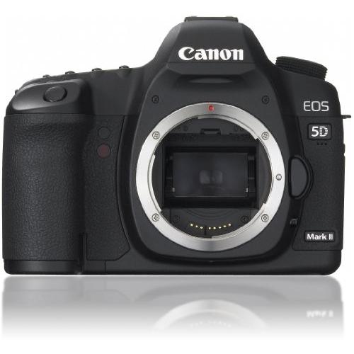 Canon デジタル一眼レフカメラ EOS 5D MarkII ボディ(中古品)