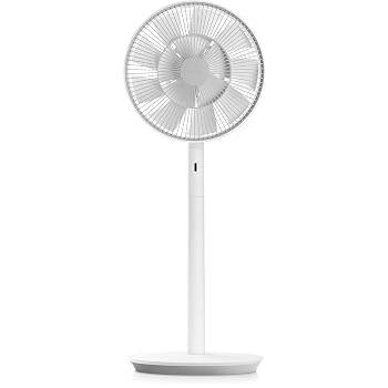 バルミューダ ザ・グリーンファン DCモーター扇風機 BALMUDA The GreenFan EGF-1(中古品)