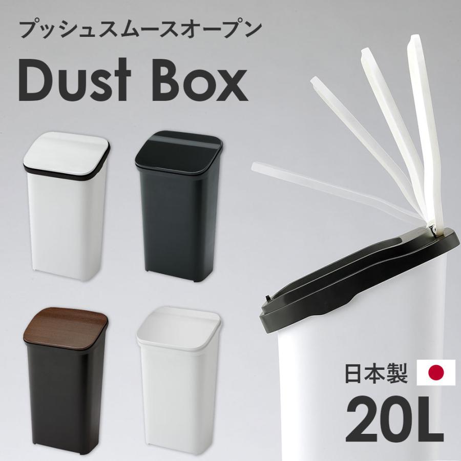 分別　ゴミ箱　20リットル　20L 2分別　大容量　おしゃれ　蓋付 スムースプッシュ開閉 ごみ箱 20L ダストボックス おしゃれ ふた付き