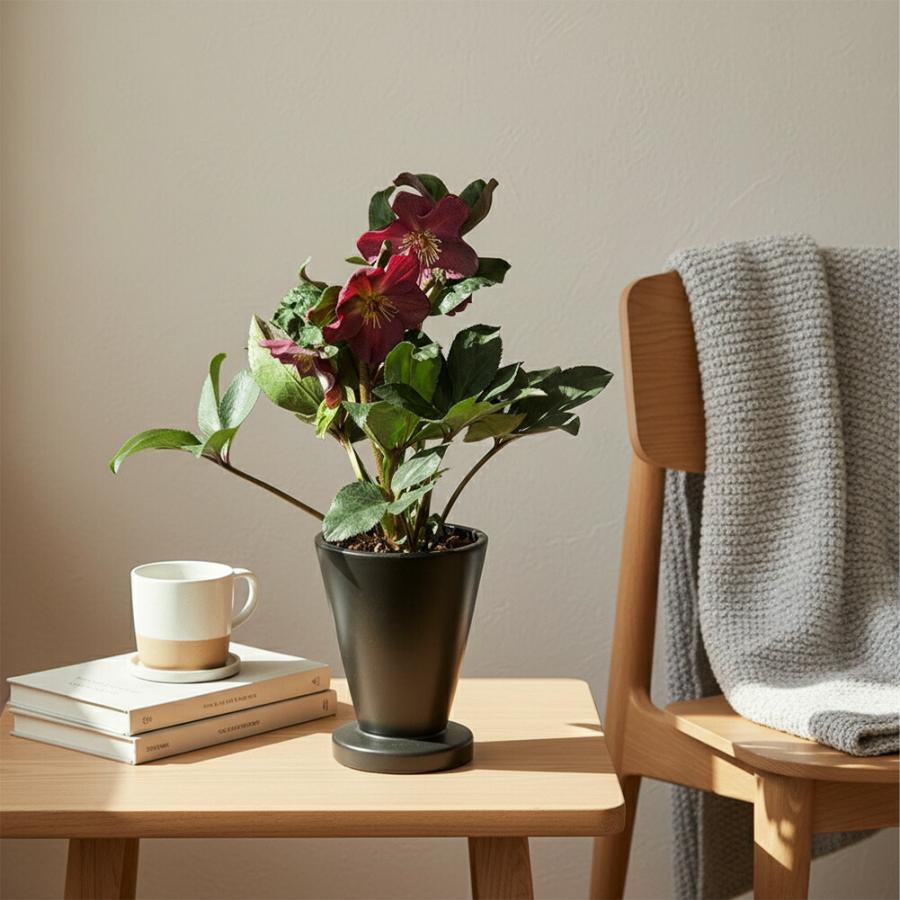 植木鉢 flower pot 花瓶 フラワーポット 陶磁器 鉢 ニュアンスカラー