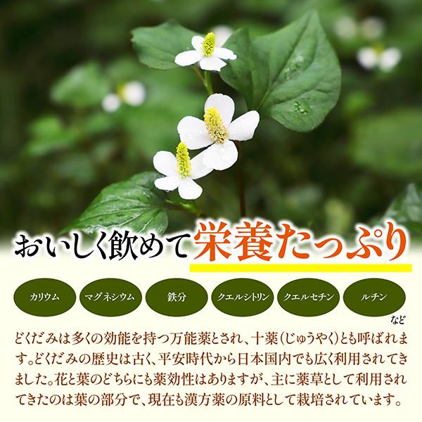 どくだみ茶 3g×50包 国産 無農薬 無添加 ノンカフェイン 徳島県産 健康茶 野草茶 ティーバッグ 生薬 十薬｜natuhouse｜03