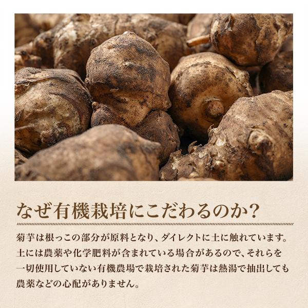 有機 菊芋茶 国産 2g×50包 ティーバッグ オーガニック イヌリン ノン