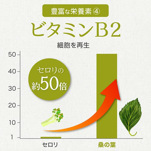 有機 桑の葉茶 粉末 100g 国産 桑茶 無農薬 パウダー オーガニック 桑の葉 青汁 無添加  送料無料｜natuhouse｜09