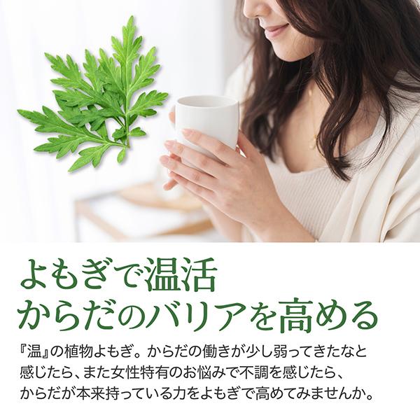 よもぎ茶 粉末 100g 国産 無農薬 無添加 ノンカフェイン 青汁 よもぎパウダー ヨモギ 食物繊維 温活 ハーブ｜natuhouse｜06