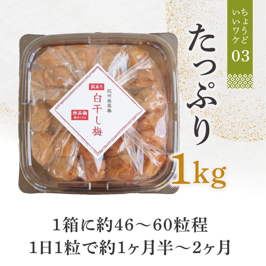 完熟つぶれ梅干　白干し　無選別　無添加　10kg入り　（田中さん専用) 訳あり 梅干し 無添加 1kg 国産 白干し 梅 塩分15% 減塩 紀州 南高梅