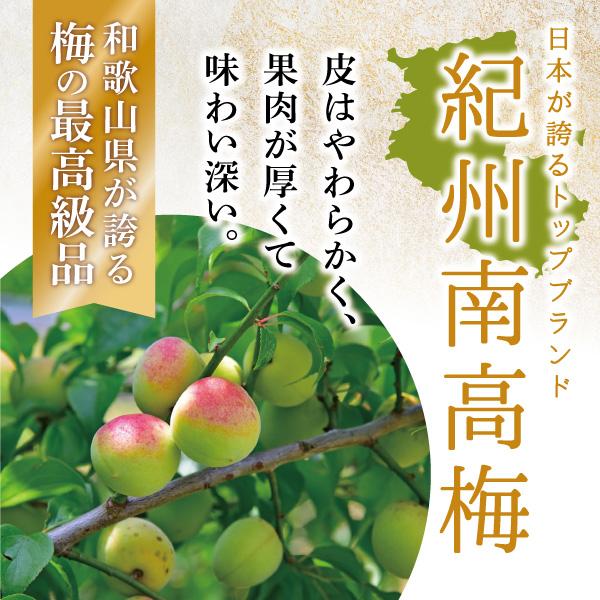 訳あり 梅干し 無添加 1kg 国産 白干し 梅 塩分15% 減塩 紀州 南高梅