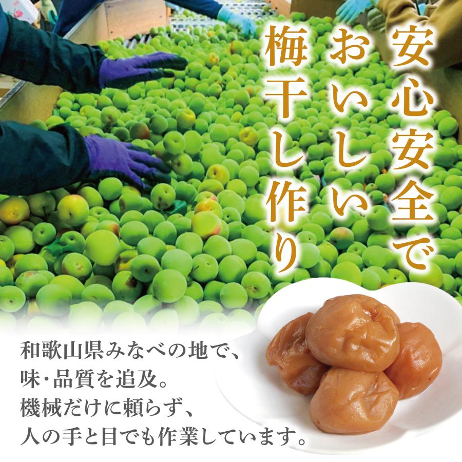 訳あり 梅干し 無添加 1kg 国産 白干し 梅 塩分15% 減塩 紀州 南高梅
