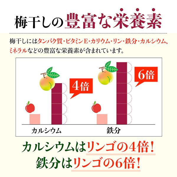 梅干し 無添加 訳あり 1kg 白干梅 南高梅 国産 つぶれ梅 和歌山県 つぶれ 酸っぱい しょっぱい 梅 塩分18% Lサイズ｜natuhouse｜11