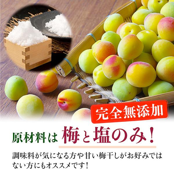 梅干し 無添加 訳あり 1kg 白干梅 南高梅 国産 つぶれ梅 和歌山県 つぶれ 酸っぱい しょっぱい 梅 塩分18% Lサイズ｜natuhouse｜04