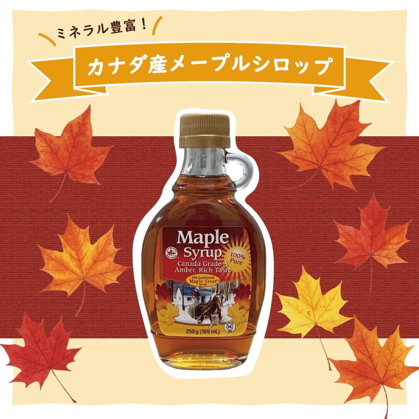 朝日 メープル シロップ 250g 189ml 3本セット カナダ産 純度100
