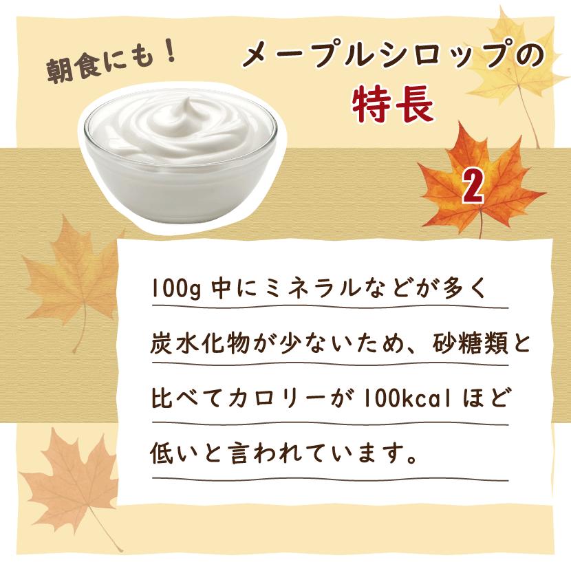 朝日 メープル シロップ 250g 189ml 3本セット カナダ産 純度100