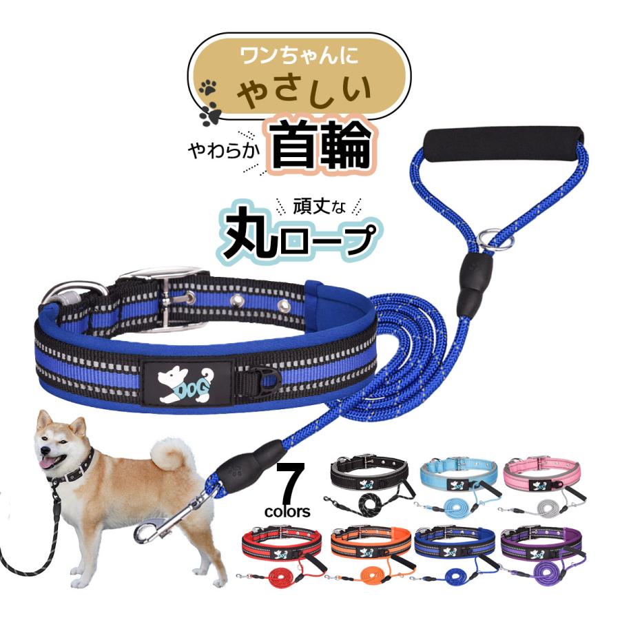 中型犬用カラー&リード